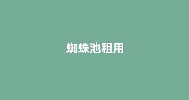 seo优化提升排名